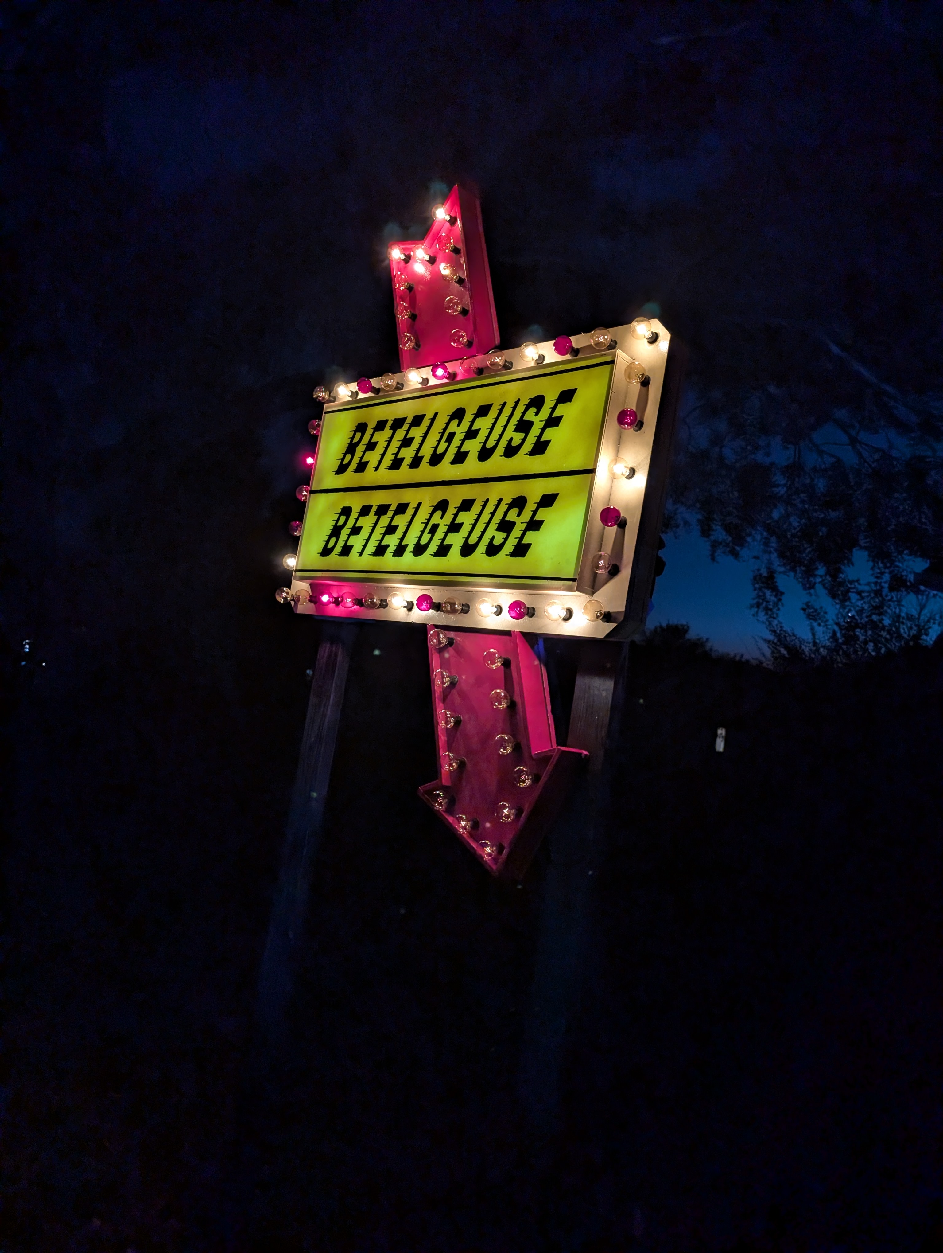 Beetlejuice Sign